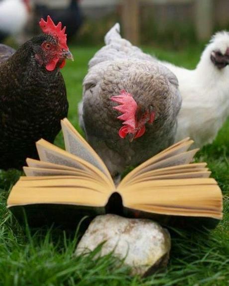 Puntos cardinales de Jatte: 3. Rusticae