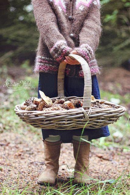 Puntos cardinales de Jatte: 3. Rusticae