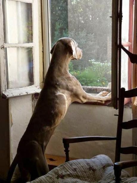 Puntos cardinales de Jatte: 3. Rusticae