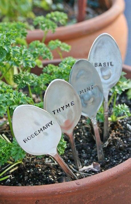 Puntos cardinales de Jatte: 3. Rusticae