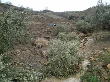 Erosión, uno de los principales problemas a nivel mundial