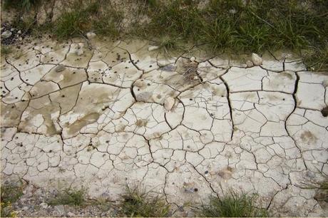 Erosión, uno de los principales problemas a nivel mundial