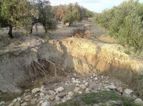 Erosión, uno de los principales problemas a nivel mundial
