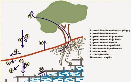 Erosión, uno de los principales problemas a nivel mundial
