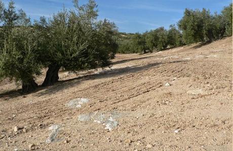 Erosión, uno de los principales problemas a nivel mundial