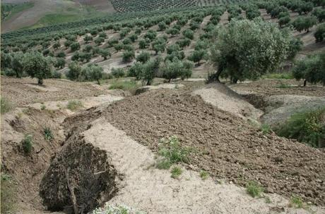 Erosión, uno de los principales problemas a nivel mundial