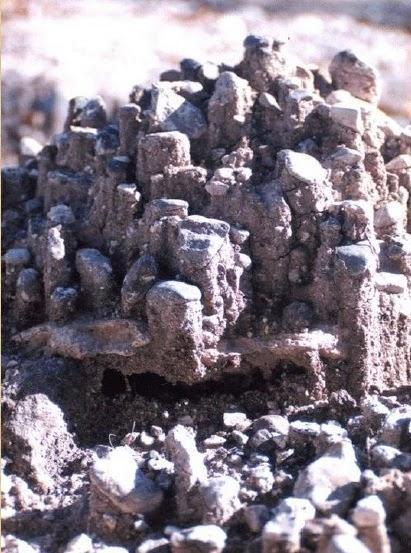 Erosión, uno de los principales problemas a nivel mundial