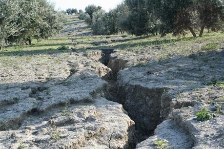 Erosión, uno de los principales problemas a nivel mundial