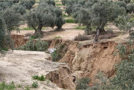 Erosión, uno de los principales problemas a nivel mundial