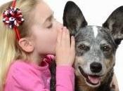 perro diferencia distintos componentes habla humana