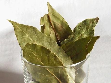 Del laurel, el ajo y el chile