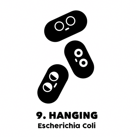 Escacalógico libros originales frikis regalar navidad humor