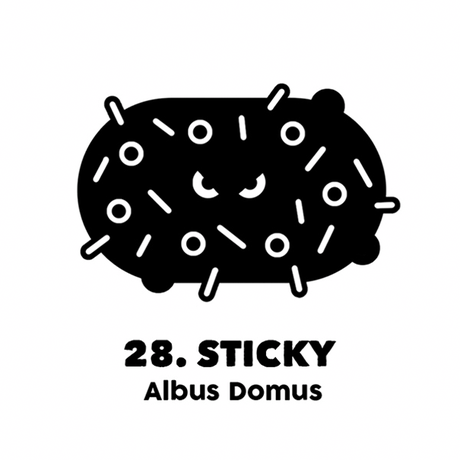 Escacalógico libros originales frikis regalar navidad humor