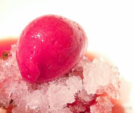 menu-degustacion-hisop-michelin-barcelona-baco-y-boca-bacoyboca-25