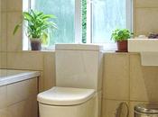 Importancia ventanas baño