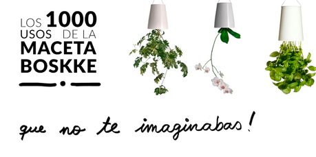 USOS DE LA MACETA BOSKKE