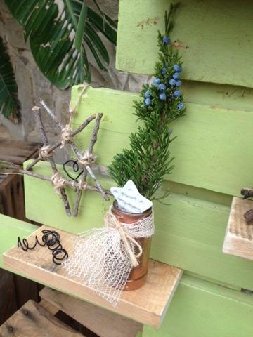 Árbol de navidad diogenero