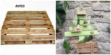 Árbol de navidad diogenero