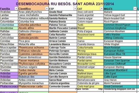 129. Desembocadura del r. Besòs