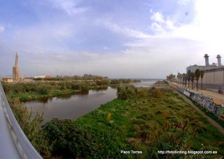 129. Desembocadura del r. Besòs