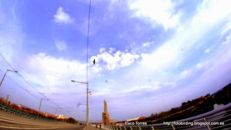 129. Desembocadura del r. Besòs