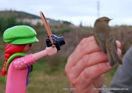 Diario de una  Playmobil:  Jornada de Anillamiento