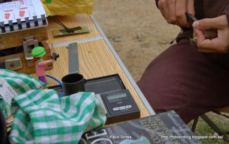 Diario de una  Playmobil:  Jornada de Anillamiento