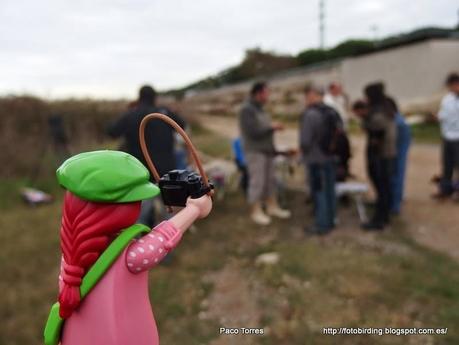 Diario de una  Playmobil:  Jornada de Anillamiento