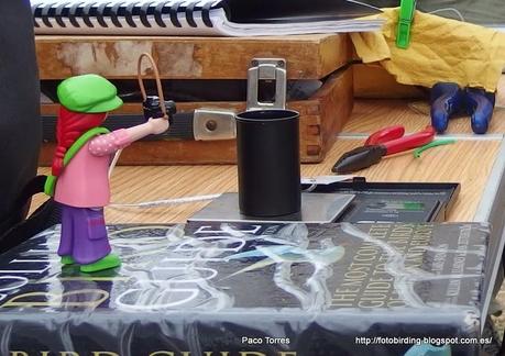 Diario de una  Playmobil:  Jornada de Anillamiento