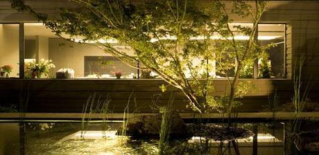 ILUMINACIÓN & ARQUITECTURA