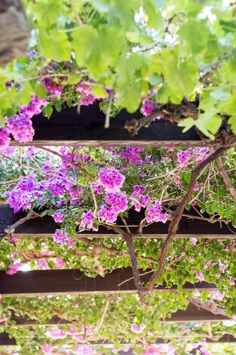 mi-boda-con-oker-evento-novias-20