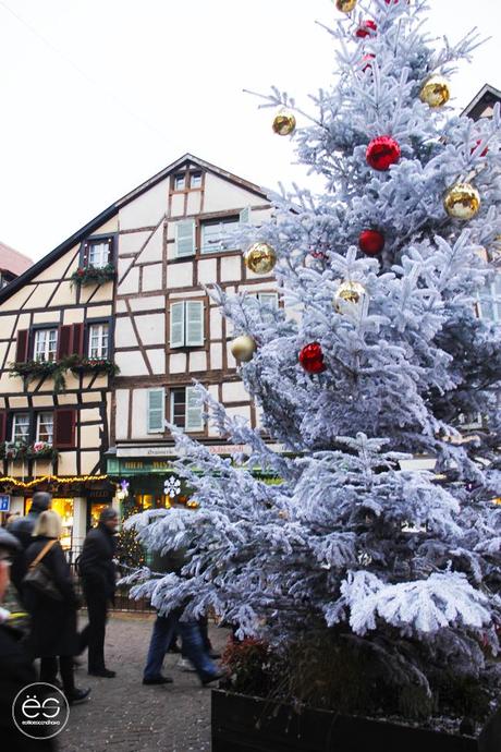 colmar-navidad-29