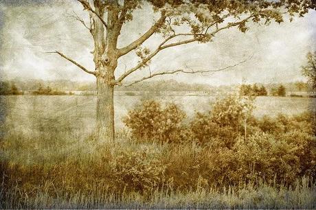 El mapa del caos. Trilogía victoriana III (Félix J. Palma) El mapa del caos. Trilogía victoriana III (Félix J. Palma)