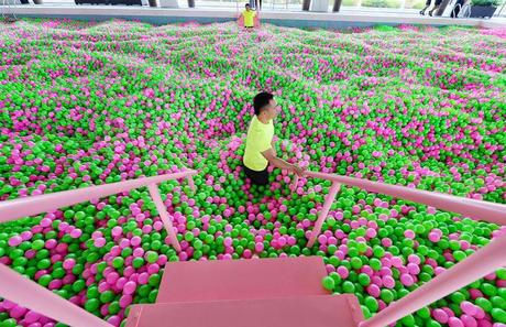Buscando pelotas para piscina