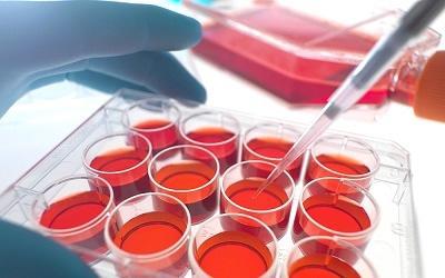 Cultivo de tejidos de animales