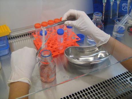 Cultivo de tejidos de animales