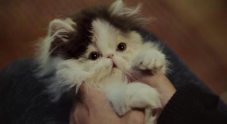 mcvities-christmas02