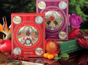 Beauty wellness party