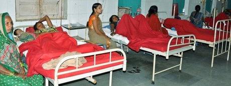 ESTERILIZACIONES EN INDIA