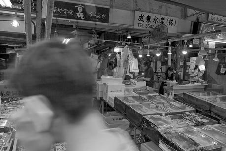 LA RUTA NIPONA: FIN DE TRAYECTO