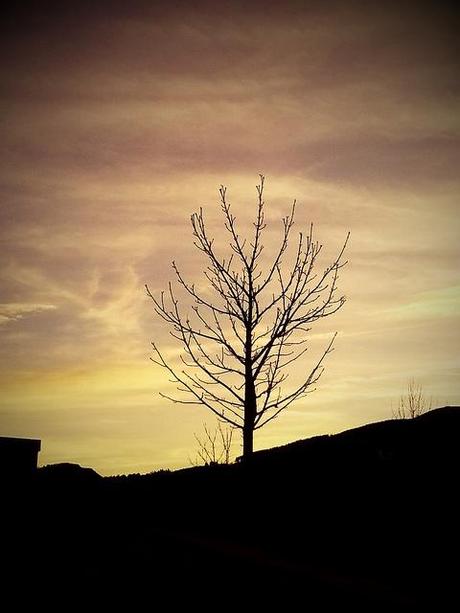 Androidografia Barakaldo 1310