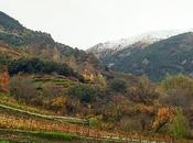 Andorra vinos