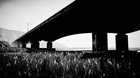 Snapmatic Edition N°2 (I): Landscape