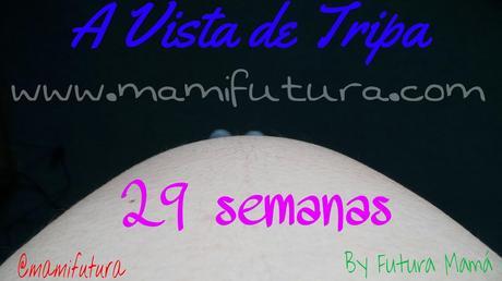 Semana a Semana XXV A Vista de Tripa XXV