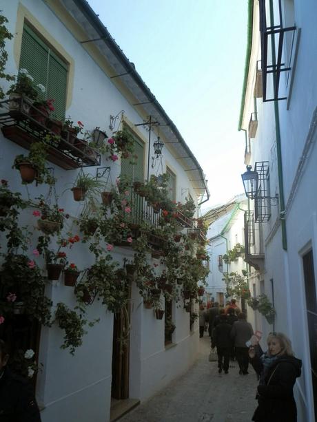 Galería fotográfica del viaje cultural a Priego de Córdoba