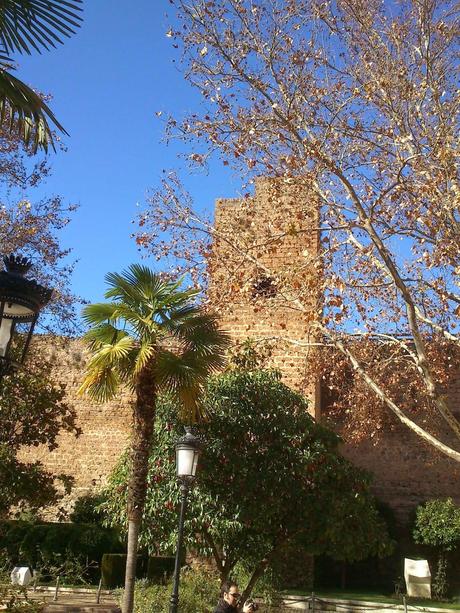 Galería fotográfica del viaje cultural a Priego de Córdoba