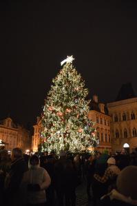 Arbol de navidad, en la plaza vieja