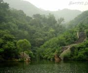 Aromas de China