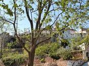 Aín, corazón sierra Espadán