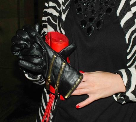 Zebra 4 Ardoaraba Zebra 4 Ardoaraba